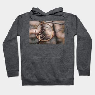 Dream Catcher on Contemplative Walk Hoodie